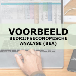 Voorbeeld van een Bedrijfseconomische Analyse (BEA) | Liba Advisering